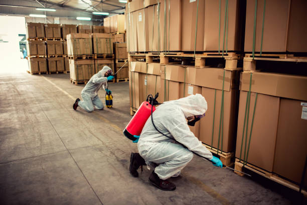 Best Best Pest Control Companies  in Elgin, MN