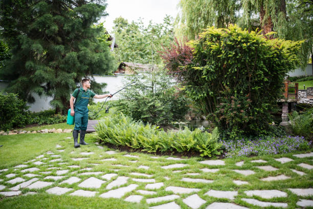  Elgin, MN Pest Control Pros