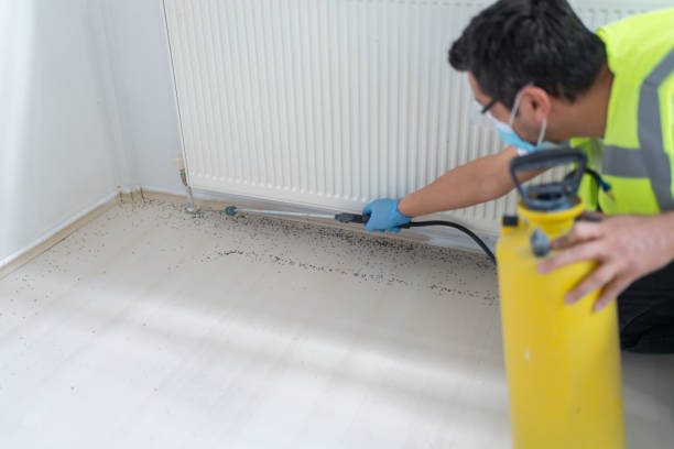 Best Pest Prevention Services  in Elgin, MN